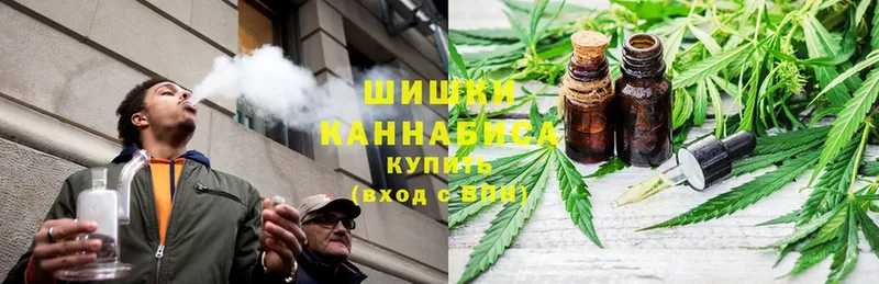 Шишки марихуана конопля  как найти закладки  Серов 